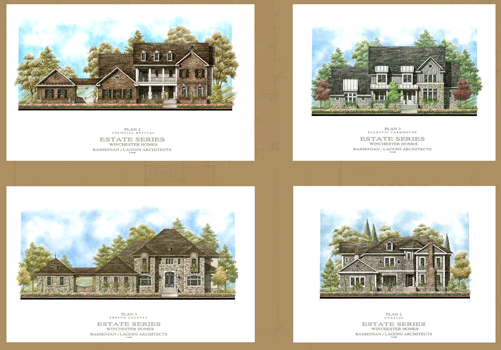 4 Renderings of Large homes